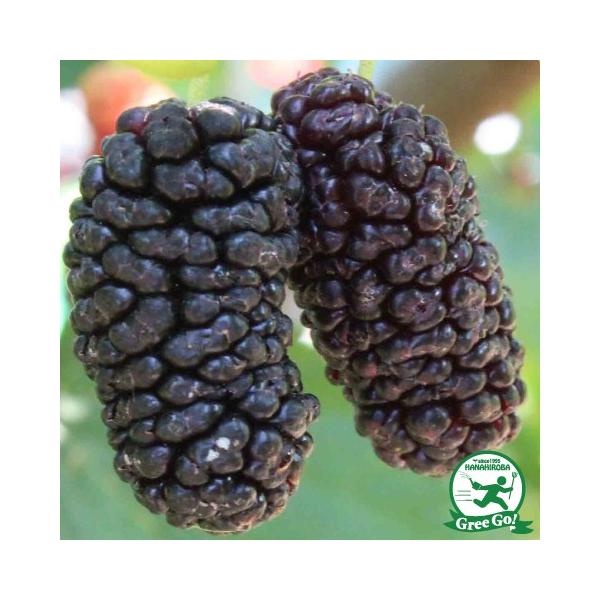  }x[ c y|bvx[ mo^inz ڂؕc ij[ܕtj kCE͑KpOłB