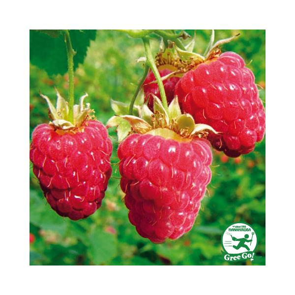 Yx[ c yCfBAT}[ iGjz 1N |bgc