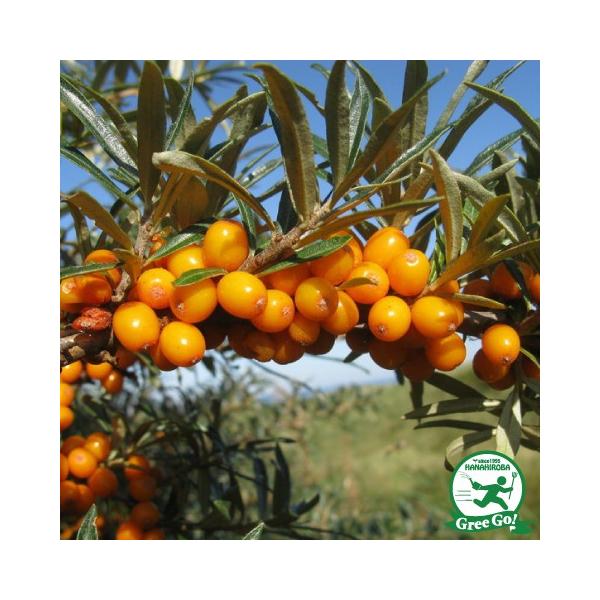 V[x[ c y郁X tKiz 0.7m |bgc