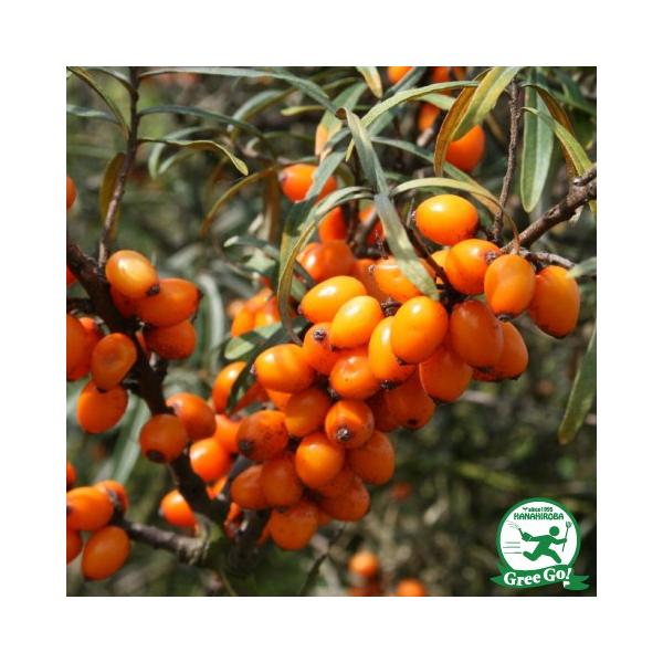 V[x[ c y郁X CRz 0.7m |bgc