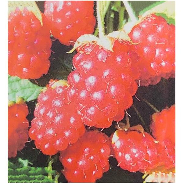  Yx[ c yT }vAz |bgc ij[ܕtj kCE͑KpOłB