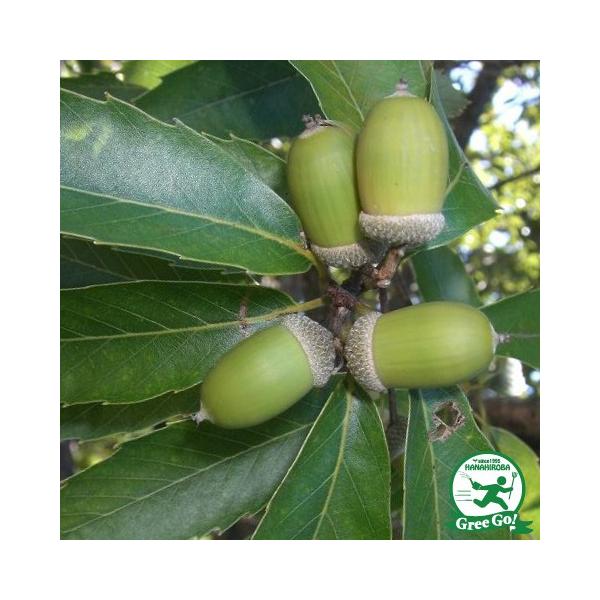  EWKV c y~̖ EWKVz 3`5|bgc ij[ܕtj kCE͑KpOłB