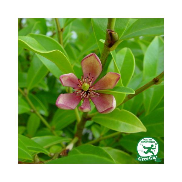  IK^} c yJ^lIK^} |[gC iԉԁjz 5|bgc ij[ܕtjkCE͑KpOłB