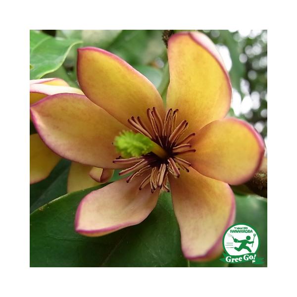  IK^} c yJ^lIK^} iԁjz 0.5m |bgc ij[ܕtj kCE͑KpOłB