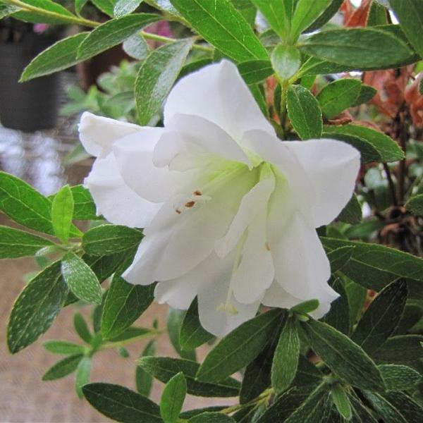  c yu i낳jz 4|bgc