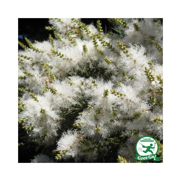  EJ eB[c[ c yXm[CT}[z 5|bgc ij[ܕtj kCE͑KpOłB