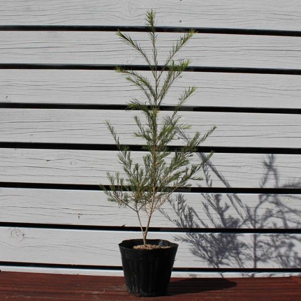  EJ eB[c[ c yeB[c[z 5|bgc ij[ܕtj kCE͑KpOłB