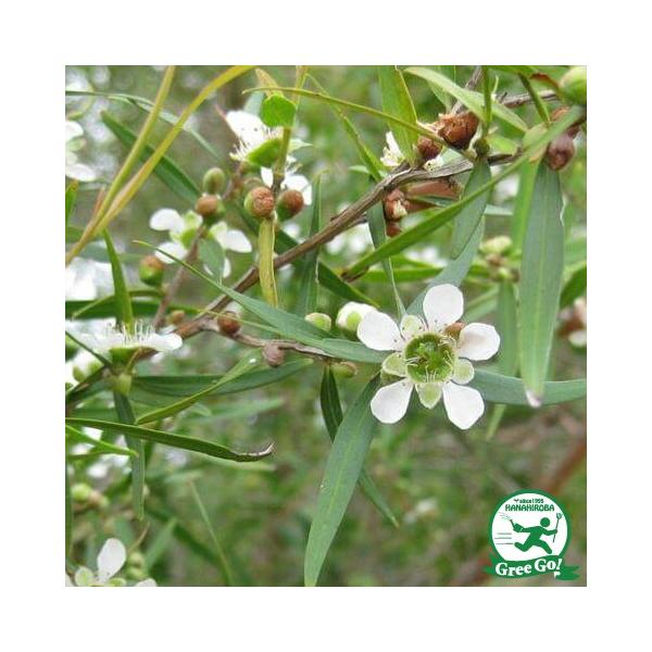 EJ eB[c[ c yvgXy} eB[c[z 5|bgc