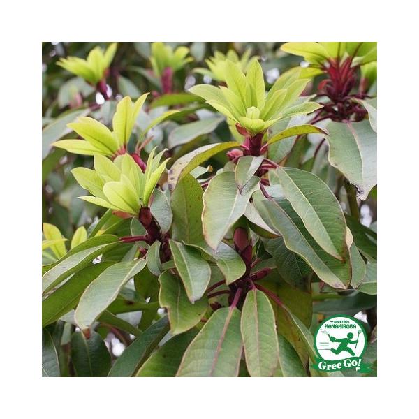  Yn c yYnz |bgc ij[ܕtj kCE͑KpOłB