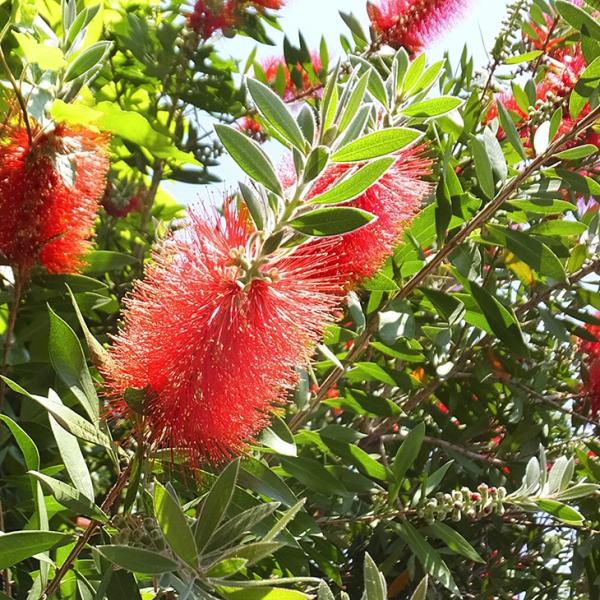 L|EW c yh[\o[z 5|bgc