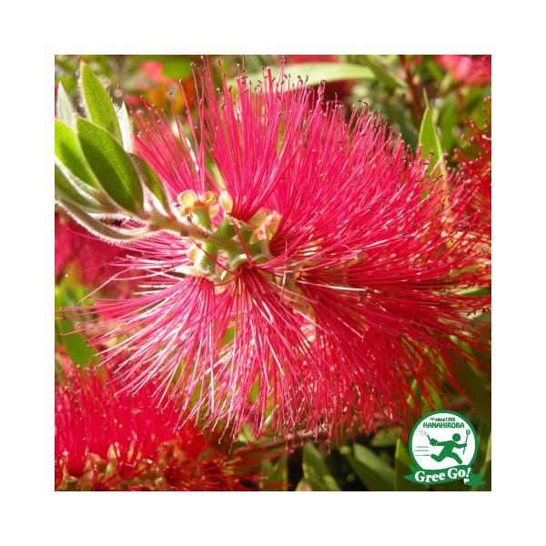  L|EW c ysfBsfBz 5|bgc ij[ܕtj kCE͑KpOłB