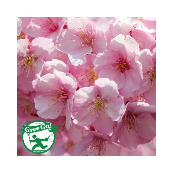   c y͒Í iÂjz 1N ڂؕc ij[ܕtj kCE͑KpOłB