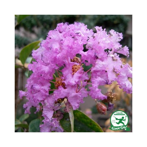  TXx c yTXx ijz 5|bgc ij[ܕtj kCE͑KpOłB