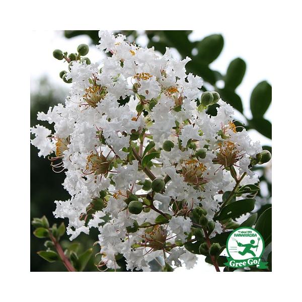  TXx c yTXx ijz 5|bgc ij[ܕtj kCE͑KpOłB