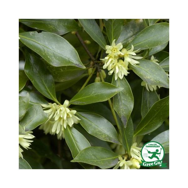  VL~ c yItVL~ iVLrjz |bgc ij[ܕtj kCE͑KpOłB