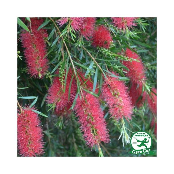  L|EW c yLOXp[NXyVz 5|bgc ij[ܕtj kCE͑KpOłB