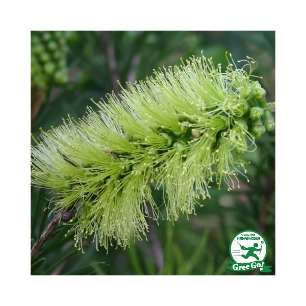  L|EW c yO[{guVz 5|bgc ij[ܕtj kCE͑KpOłB