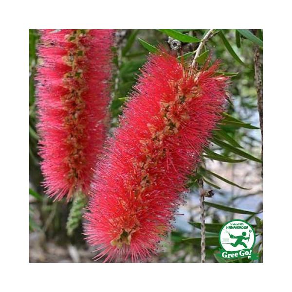  L|EW c yniCz 5|bgc ij[ܕtj kCE͑KpOłB