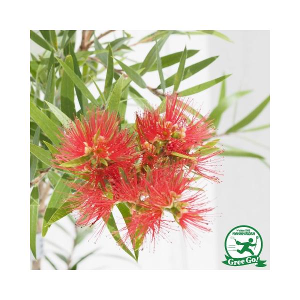  L|EW c yLveNbNz 5|bgc ij[ܕtj kCE͑KpOłB