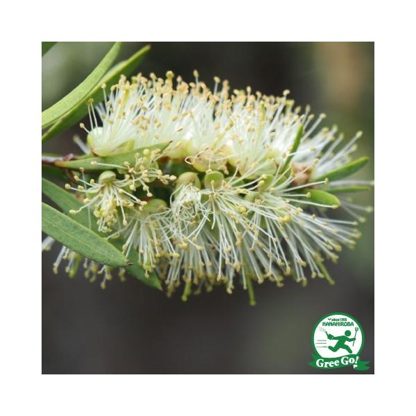  L|EW c yt@C[tz 5|bgc ij[ܕtj kCE͑KpOłB