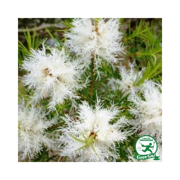  EJ eB[c[ c yfBJeB[c[z 5|bgc ij[ܕtj kCE͑KpOłB