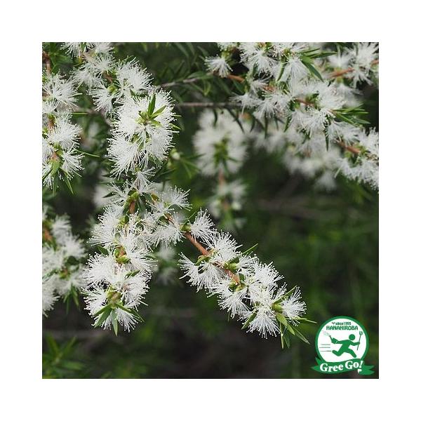  EJ eB[c[ c yubNeB[c[z 5|bgc ij[ܕtj kCE͑KpOłB