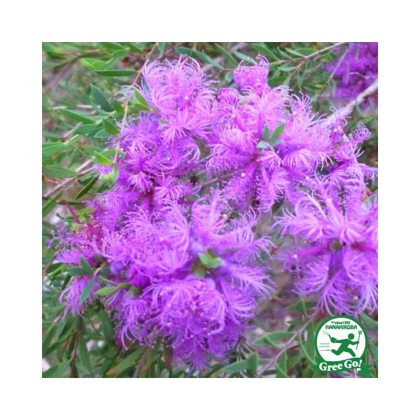  EJ eB[c[ c y^Cnj[}[^z 5|bgc ij[ܕtj kCE͑KpOłB