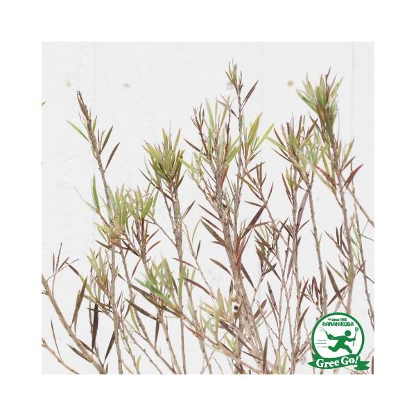 L|EW c ysNt[bhtH[z 5|bgc