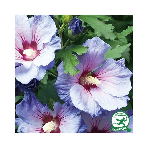  NQ c y}[iz |bgc ij[ܕtj kCE͑KpOłB