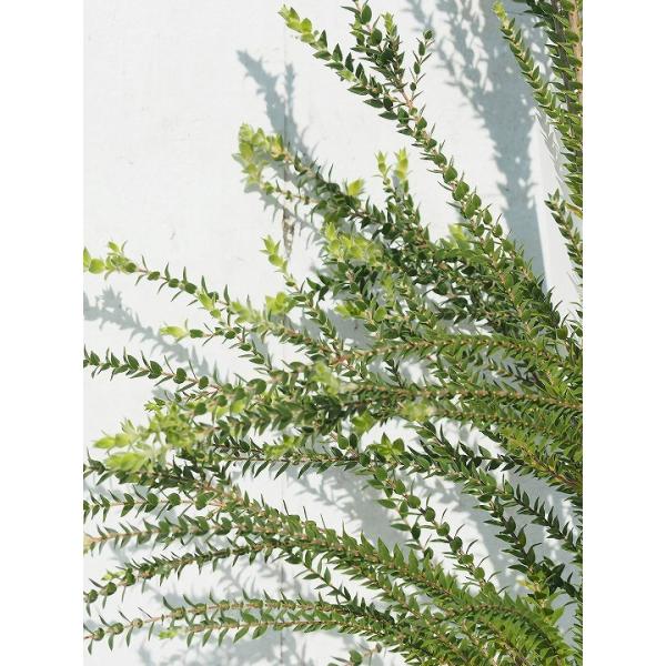  EJ eB[c[ c yZebhx[o[o[Oz 5|bgc ij[ܕtj kCE͑KpOłB