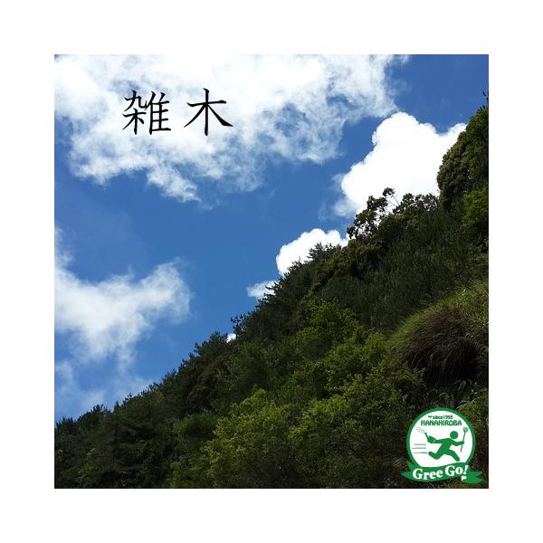 IgRE] c yIgRE]z |bgc