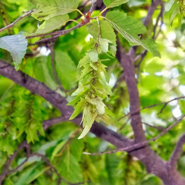  AJVf c yAJVfz |bgc ij[ܕtj kCE͑KpOłB