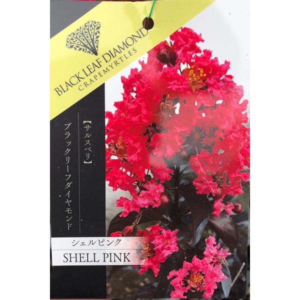 TXx c yubN[t_Ch VFsNz 0.9m }ؕc