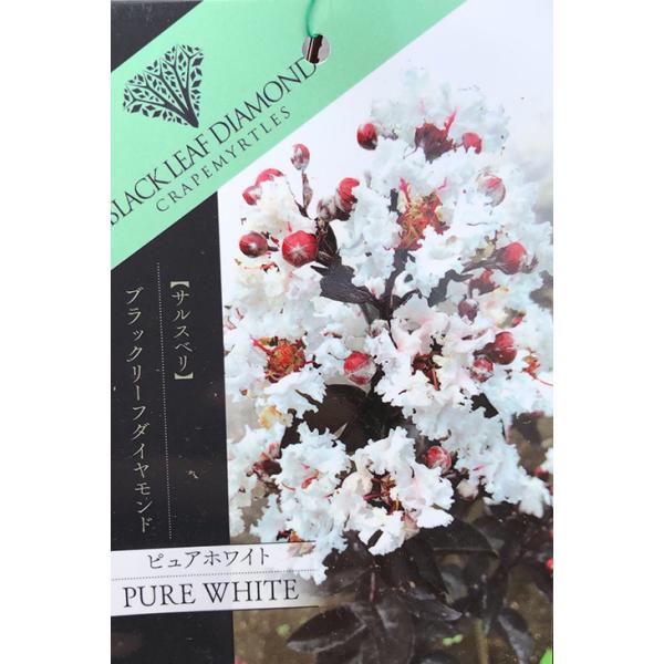 TXx c yubN[t_Ch sAzCgz 0.9m }ؕc