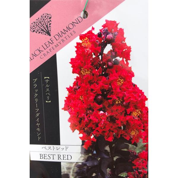 TXx c yubN[t_Ch xXgbhz 0.9m }ؕc