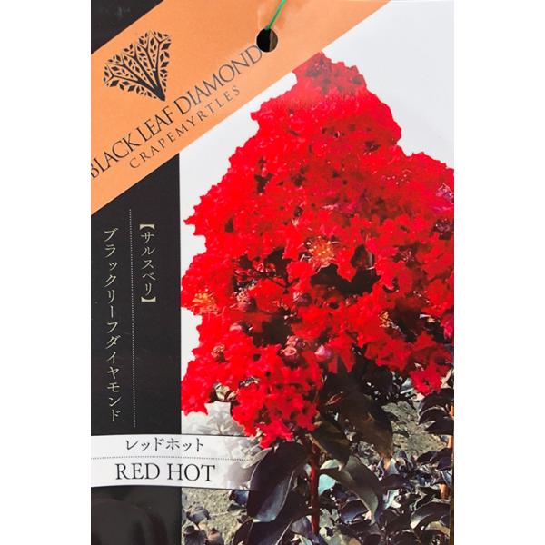 TXx c yubN[t_Ch bhzbgz 0.9m }ؕc