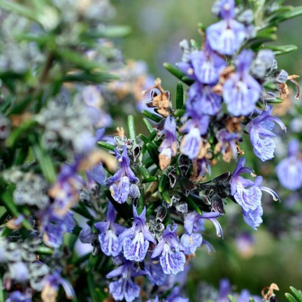 [Y}[ c yz[^[u[z 3|bgc