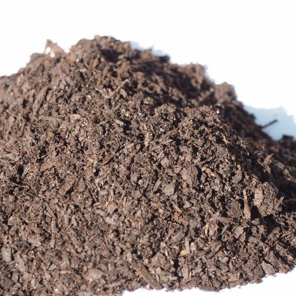 ͔ yOGOI͔ uɂ݁v inAɎgyjz 14bg