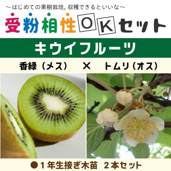 hanahiroba_tnjs-002t001-01