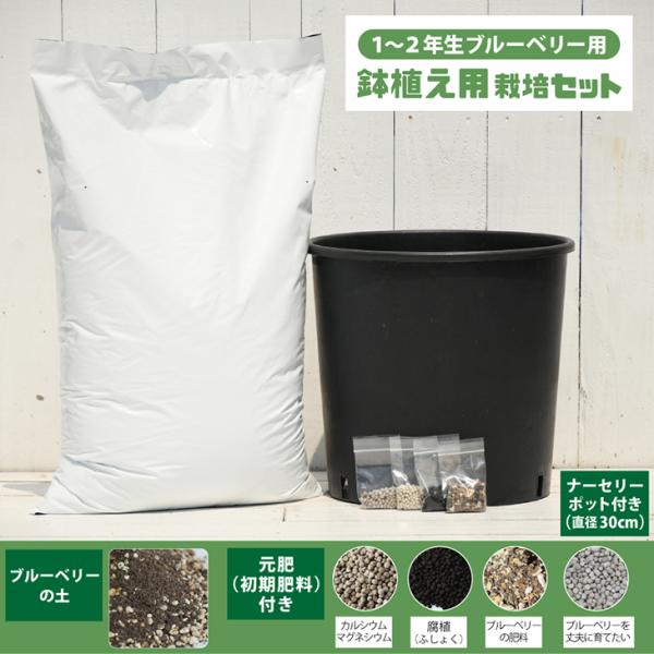 At ȒP ͔|Zbg yAp i1`2Nu[x[pjz ͔|Zbg iu[x[̓yEEi[Z[|bgtj