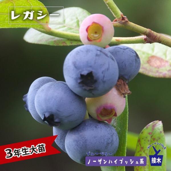 hanahirobaonline_buru-beri--