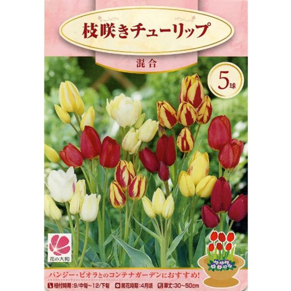 hanahirobaonline_chu-rippu-mix