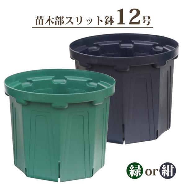 hanahirobaonline_hachi-suritto-1-2