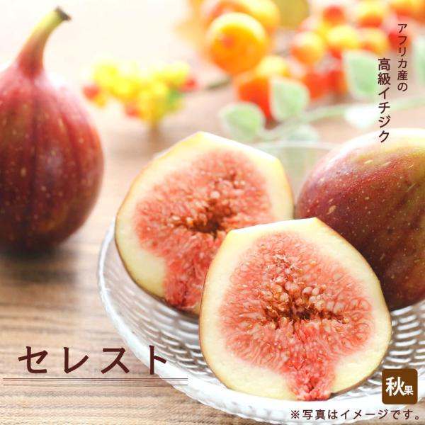 hanahirobaonline_ichijiku-