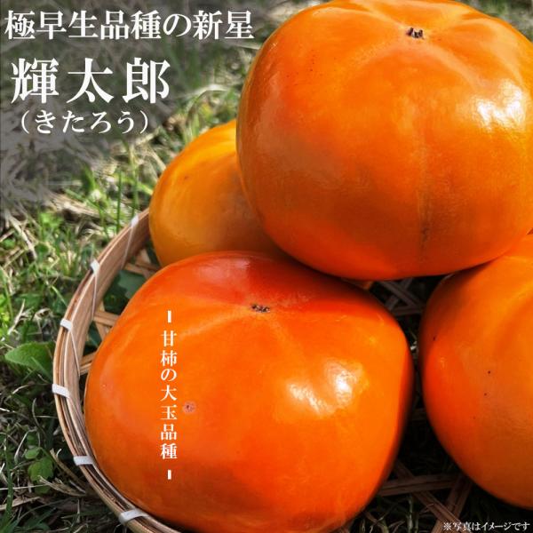 柿の種太郎ページ hanahirobaonline_kaki-kitarou