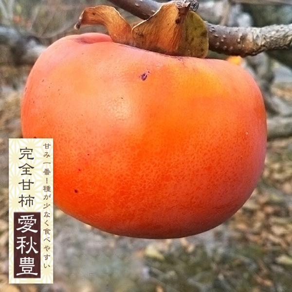 hanahirobaonline_kaki- hanahirobaonline_kaki-