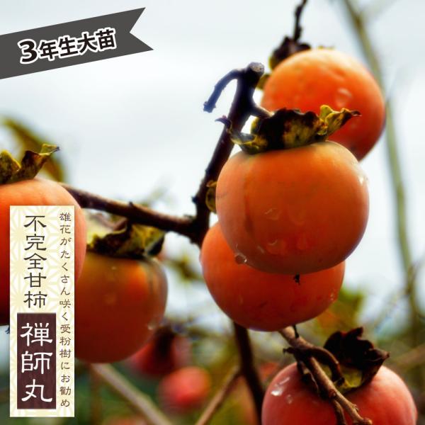 hanahirobaonline_kaki-zenjimaru-3s