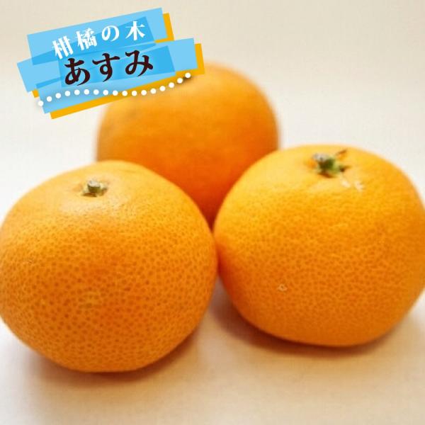 hanahirobaonline_kankitsu-asumi-1