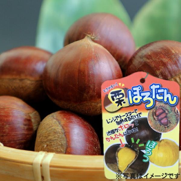 苗 ぽろたんの人気商品 通販 価格比較 価格 Com