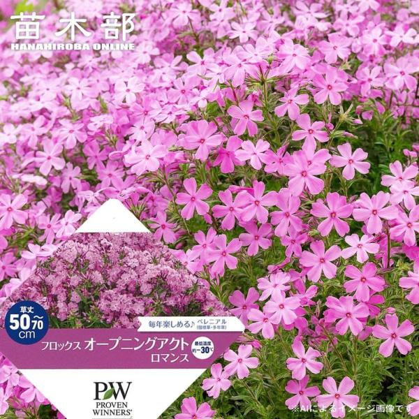 hanahirobaonline_kusa-s757-02